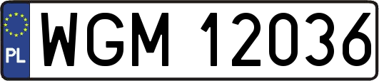 WGM12036