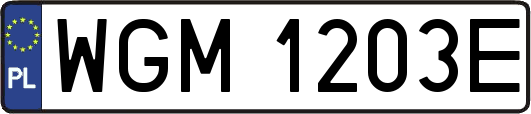 WGM1203E