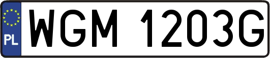 WGM1203G