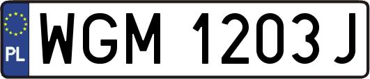 WGM1203J