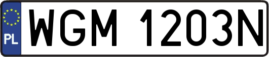 WGM1203N