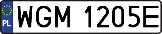WGM1205E