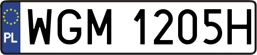 WGM1205H