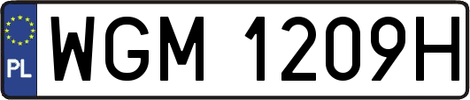 WGM1209H