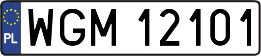 WGM12101