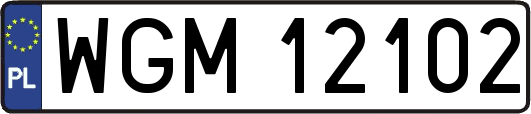WGM12102