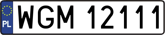 WGM12111