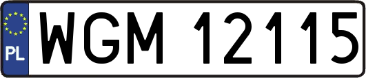 WGM12115