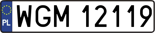 WGM12119