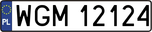 WGM12124