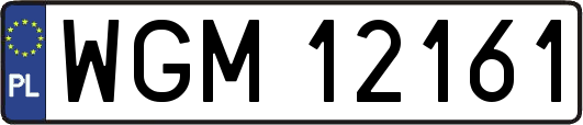 WGM12161