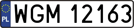 WGM12163