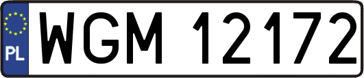 WGM12172