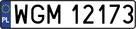 WGM12173