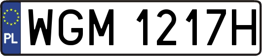WGM1217H