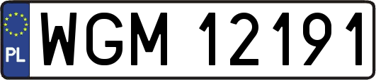 WGM12191