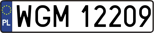 WGM12209