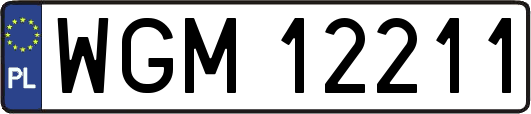 WGM12211