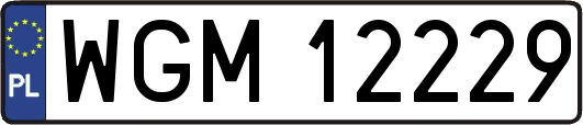 WGM12229