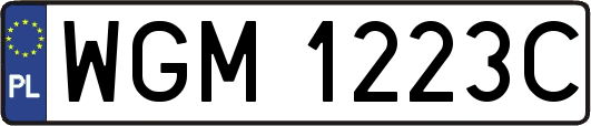 WGM1223C
