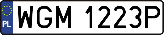WGM1223P