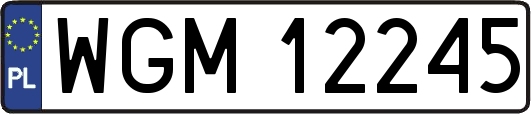 WGM12245
