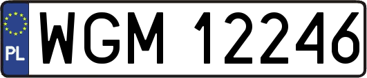 WGM12246