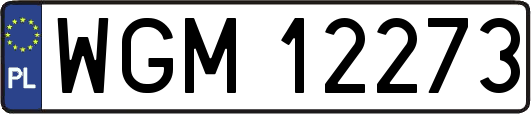 WGM12273
