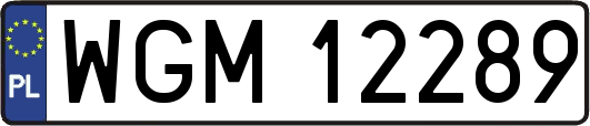 WGM12289