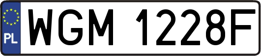 WGM1228F