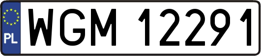 WGM12291