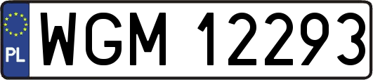 WGM12293