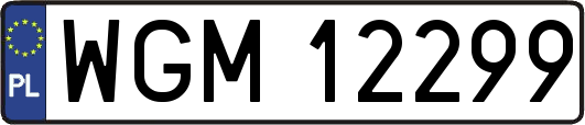 WGM12299