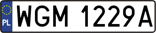 WGM1229A