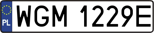 WGM1229E