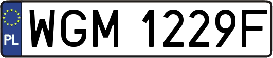 WGM1229F