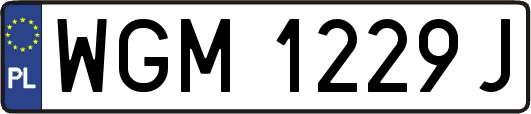 WGM1229J