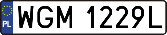 WGM1229L