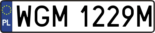 WGM1229M