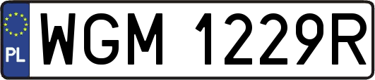 WGM1229R