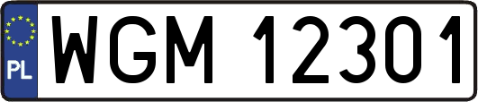WGM12301