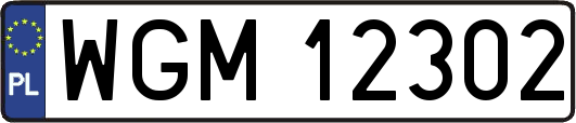WGM12302