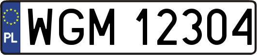 WGM12304