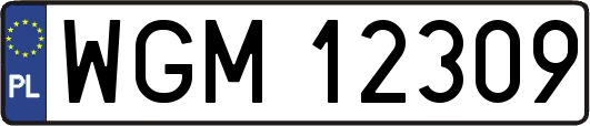 WGM12309
