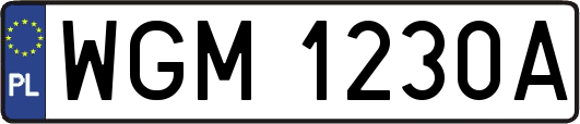 WGM1230A