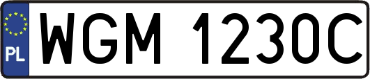 WGM1230C