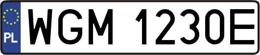 WGM1230E