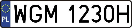 WGM1230H