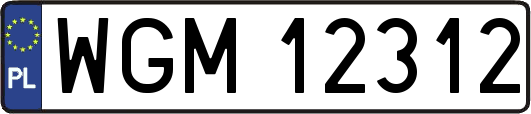 WGM12312