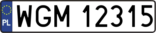 WGM12315